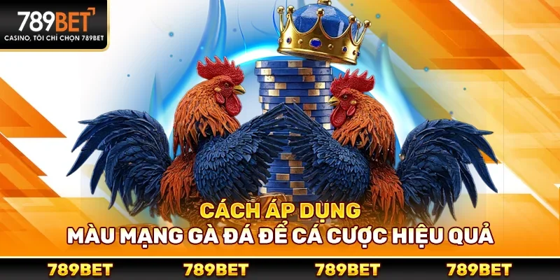 Cách áp dụng màu mạng gà đá để cá cược hiệu quả
