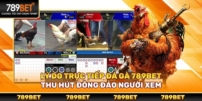 Lý do trực tiếp đá gà 789bet thu hút đông đảo người xem