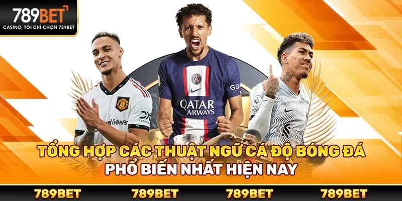 Thuật ngữ cá độ bóng đá - Kiến thức quan trọng cho người chơi hiện đại