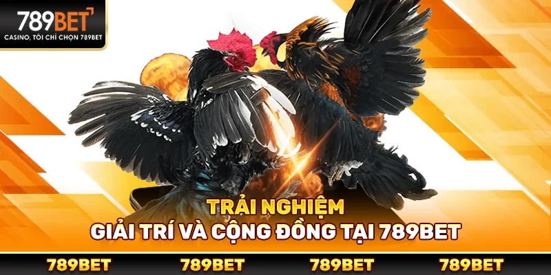 Trải nghiệm giải trí và cộng đồng tại 789bet