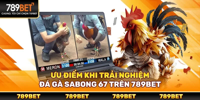 Ưu điểm khi trải nghiệm đá gà sabong 67 trên 789bet