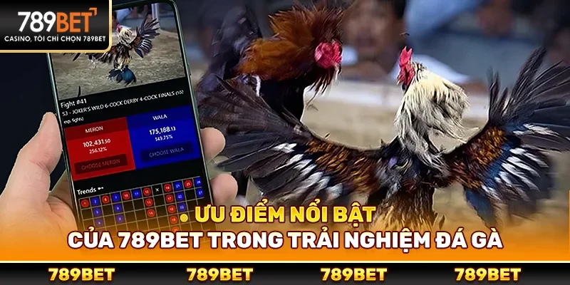 Ưu điểm nổi bật của 789bet trong trải nghiệm đá gà