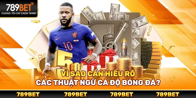 Vì sao bạn cần hiểu rõ các thuật ngữ cá độ bóng đá?