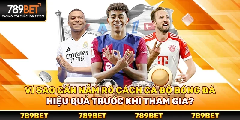 Cách cá độ bóng đá 789bet hiệu quả cho người chơi hiện đại